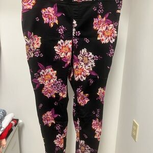 Terra & Sky Black Floral Skinny Pants